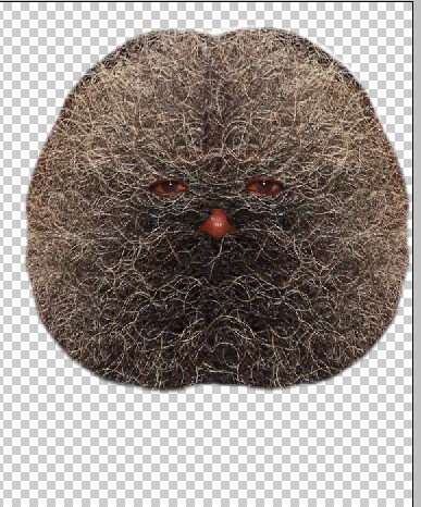 Creation of FIRBY: Step 4